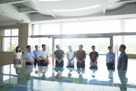 市委组织部莅临隆华开展“河洛党建计划”专项考核