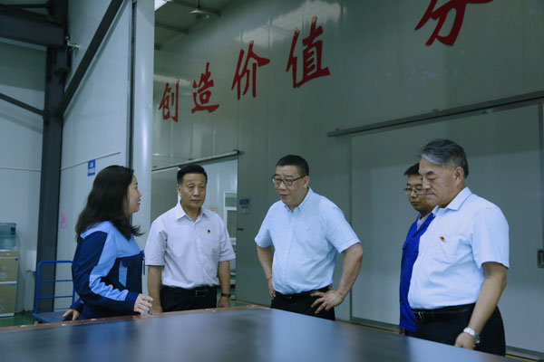 河南证监局王广幼局长一行莅临隆华集团调研资本市场工作