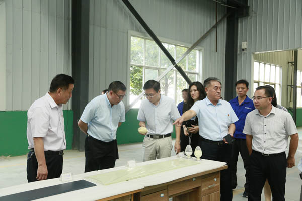 河南证监局王广幼局长一行莅临隆华集团调研资本市场工作