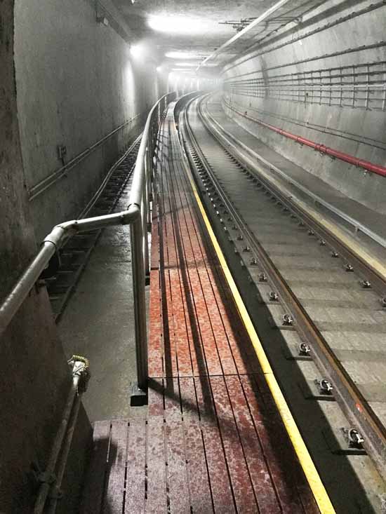 转型升级系列报道之七｜“新棋子”科博思拥抱趋势，用实力扩大隆华复材疆域